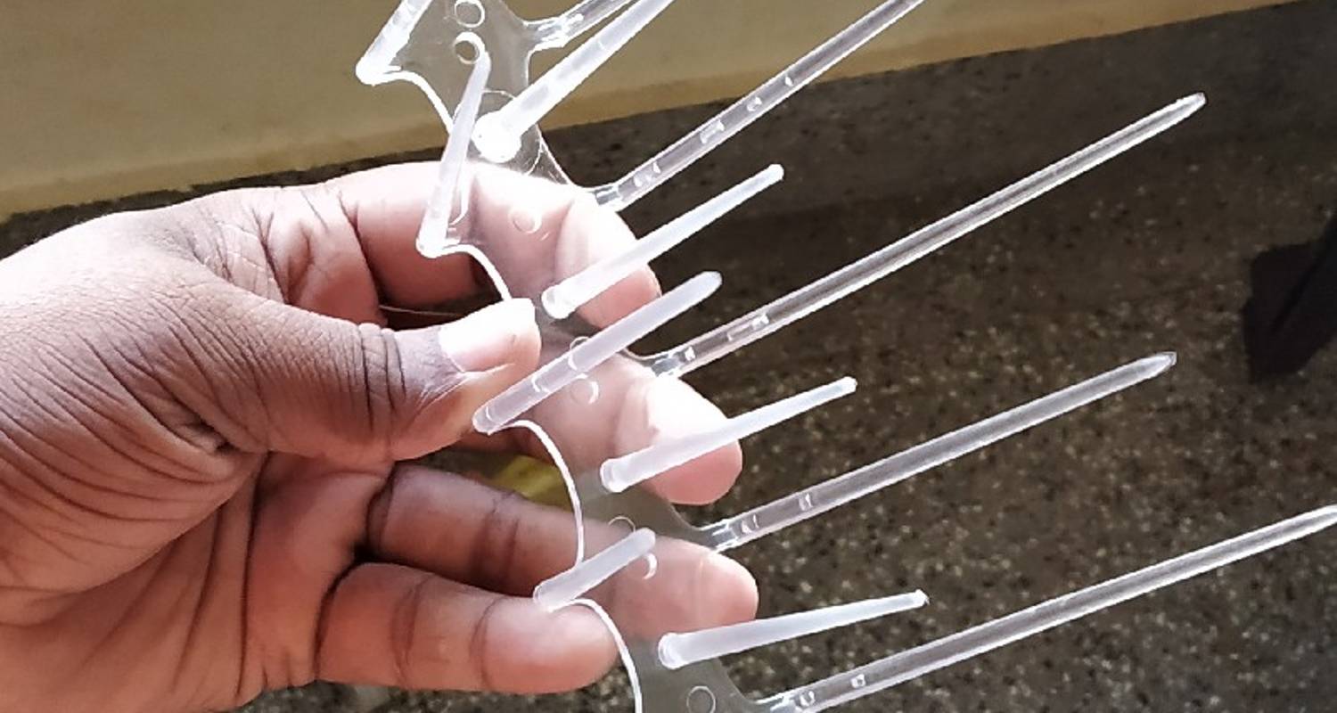 Professional Bird Spikes Chennai Building Protection