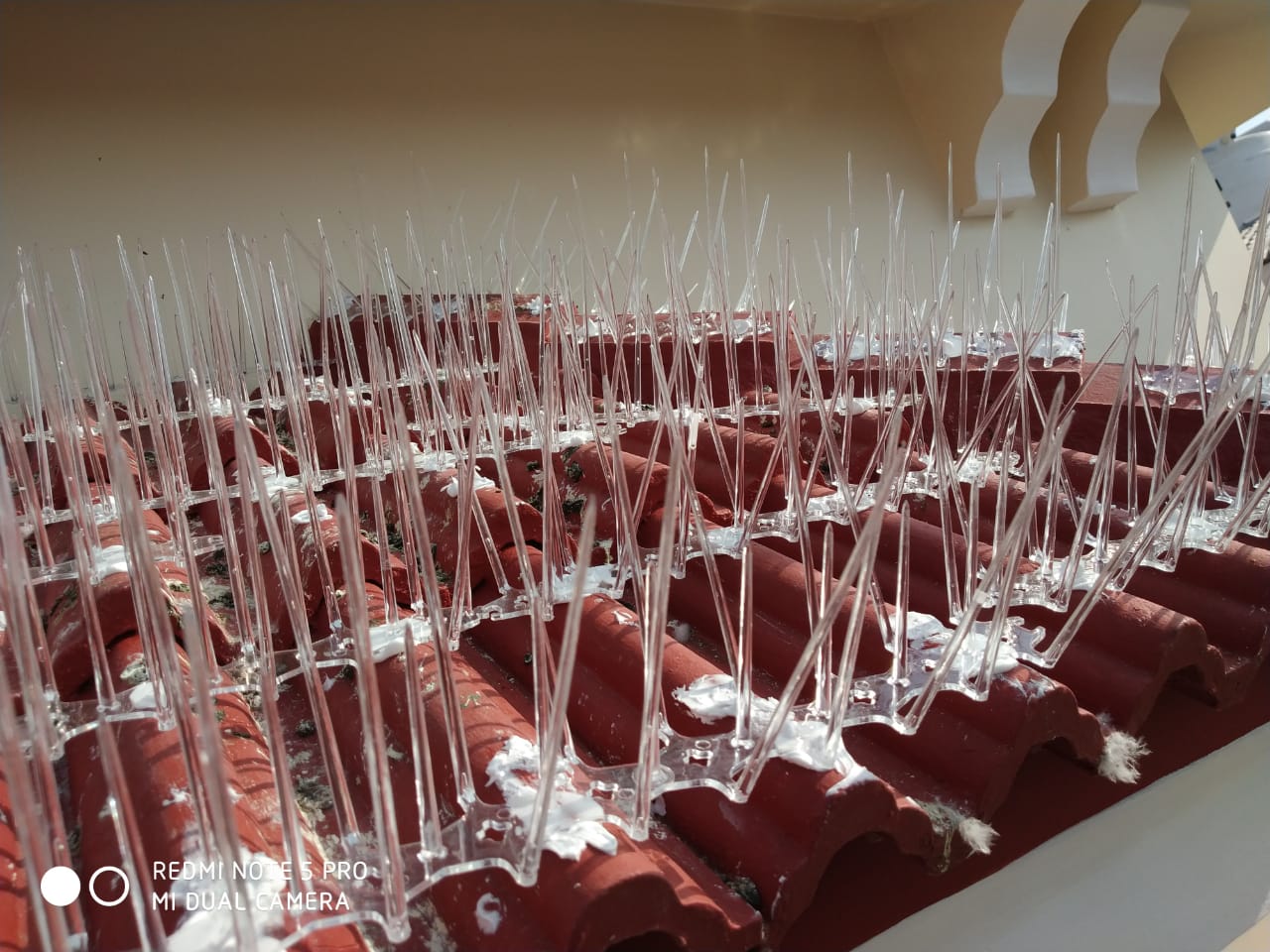 Bird Control Solutions Chennai Commercial Installation