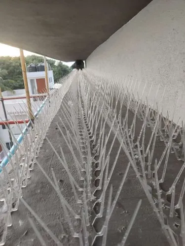 Best Bird Spikes Chennai Window Installation
