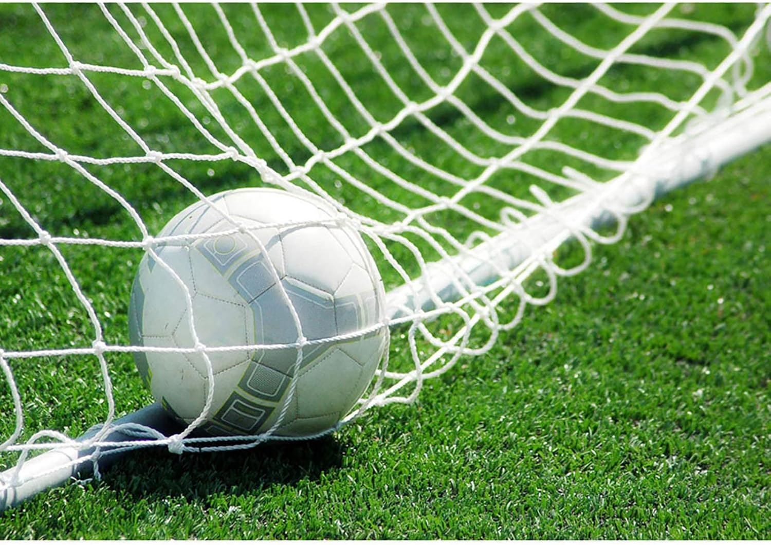 Professional Football Nets Chennai